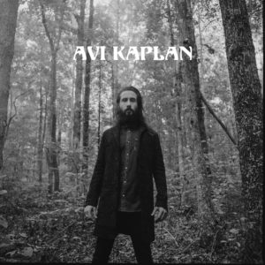 Avi_Kaplan_Image